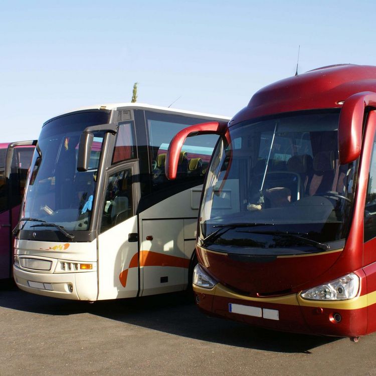 buses in car park